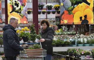 Burgemeesters sturen brandbrief vanwege hogere btw op bloemen en planten