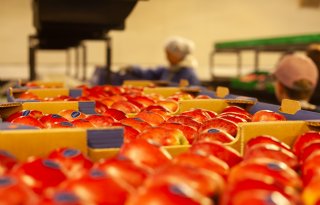 Steeds meer handel in groenten en fruit verschuift naar vaste partners