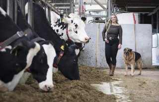 ‘Ik wil jongeren meer bij elkaar brengen’