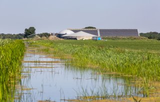 Collectieve mestvergister biedt kansen