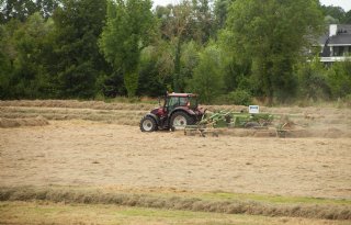 Structuurrijke zomerkuil past goed bij kuil eerste snede