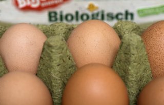 Markt voor scharreleieren nog steeds niet van het slot