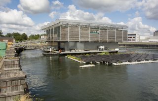 Rotterdamse Floating Farm blijft open, maar koeien zijn verleden tijd