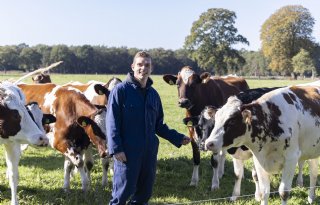 ‘Kavelruil spil bij gebiedsproces’