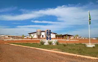Braziliaanse boeren machtig en kwetsbaar