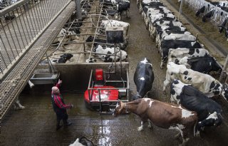 Wat moet de boer van 2035 kunnen?