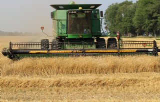 Geopolitiek biedt Australië exportkansen voor tarwe en gerst