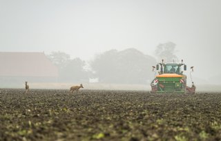 Hogere aardappelopbrengst en tegenvaller voor inzaai wintergranen
