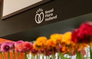 FloraHolland stopt met veilingklok Naaldwijk