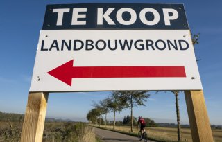 Grote veehouderijen kopen meeste boerengrond