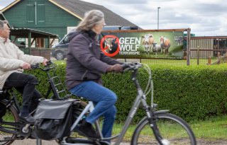 Drentse burgemeesters luiden de noodklok: gooi het wolvenbeleid om