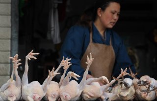 H7N9: geen paniek, wel alert zijn