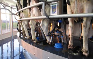 Melkprijs EU steeg in 2022 met bijna 40 procent