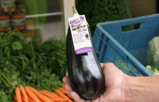 Cliplabel promoot aubergine
