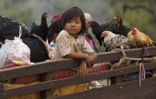 H5N1+maakt+slachtoffers+in+Cambodja