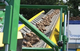 NEPG: Aardappeloogst nog lager