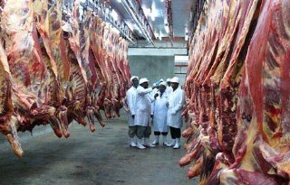 Slager leert Oegandezen over vlees