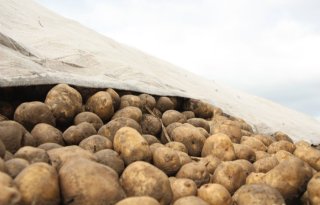 Aardappelrooien voor Twentse voedselbank