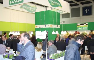 Minder meters The Greenery Fruit Logistica