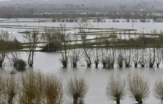 Boeren UK helpen elkaar bij overstroming
