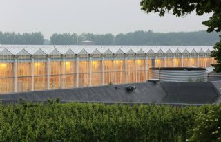 Glasmonitor brengt glastuinbouw Noord-Holland in kaart