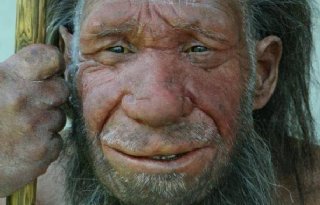 Neanderthalers+aten+groente%2C+blijkt+uit+poep