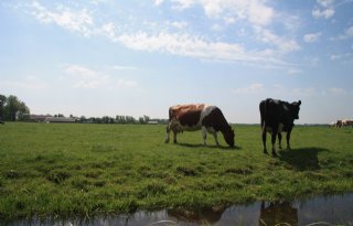 Zuid-Holland verpacht grond