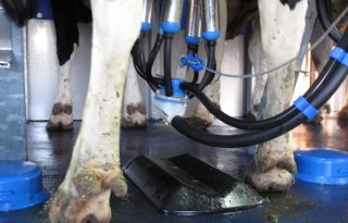 Ierse onrust om lage melkprijs 2015
