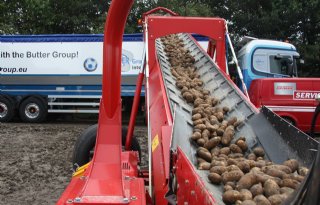Bijna 300.000 ton meer aardappelen verwerkt