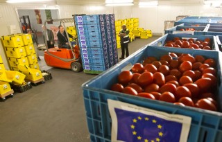 'Voedselbank zoekt boer en teler'
