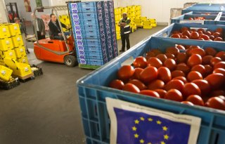 Biedt voedselbeleid kabinet boer kansen?