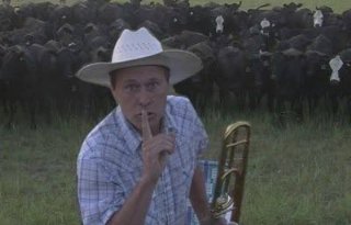 Boer lokt koeien met Jingle Bells (video)