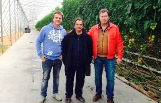 Nederlandse tomatentelers lof voor Tunesië
