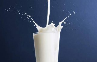 Actie tegen duurzame melk Albert Heijn
