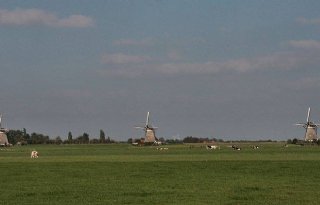 Onteigening+voor+boeren+in+Driemanspolder
