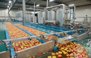 Russische boycot zit Fruitmasters dwars