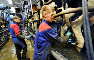 Lage melkprijs op Europese agenda