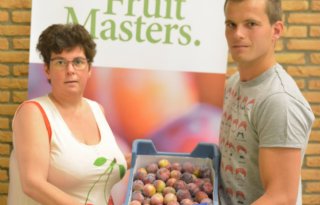 Fruitmasters+veilt+eerste+pruimen+van+2015