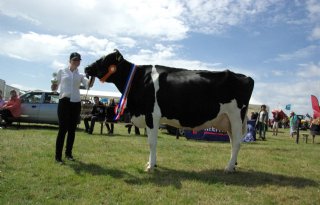 Bea 159 kampioen landbouwdag Den Hoorn