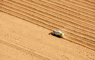 'Lage graanoogst bedreigt Duitse boeren'