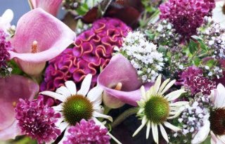 Bloemist: calla gaat vooral in bloemstuk