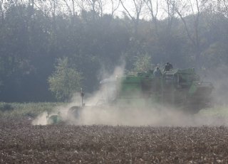 Beschadigd pootgoed verdient bescherming bij inschuren