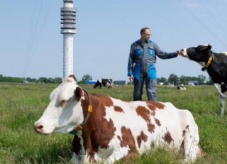Dutch Dairy Challenge: voorgangers over hun ervaringen