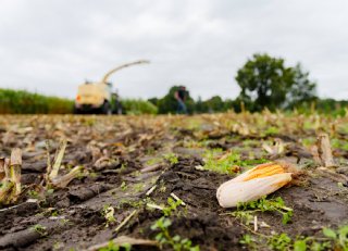 Feedanalyses: risicobeheersing in de voerproductie