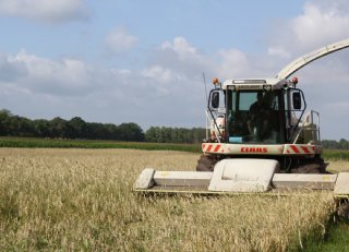 Snelle Lente Rogge: vanggewas en eiwitproducent in één