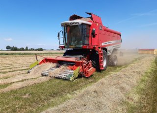 'Graszaad is een goede voorvrucht voor veel gewassen'