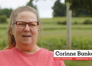 Supplement helpt koe bij overgang naar droogstand