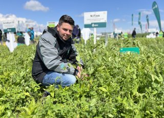 Het stikstofpotentieel van groenbemesters: inzicht in N-dynamiek