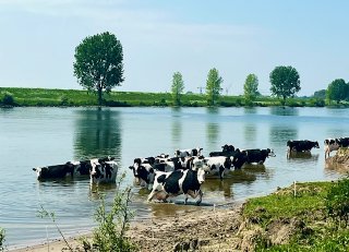 Meer taken voor collectieven