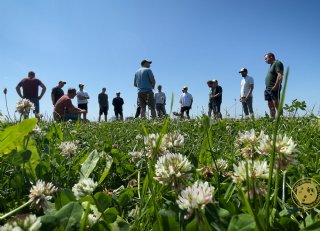 Tomorrow’s Dairy: praktijkworkshop grasklaverteelt bij Bart Faassen